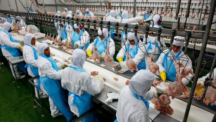 Brasil negocia aumento da cota de carne exportada para os EUA diante de ameaças tarifárias