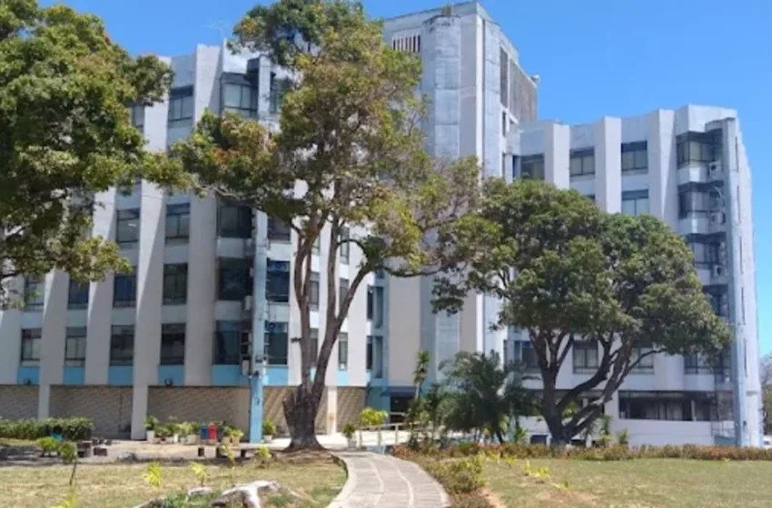 Jerônimo nomeia nova secretária interina do Meio Ambiente